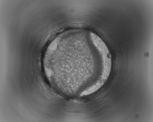 X0000114420739200911131450