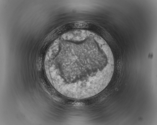 X0000114420741200911131450