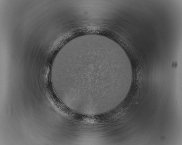 X0000114420742200911131450