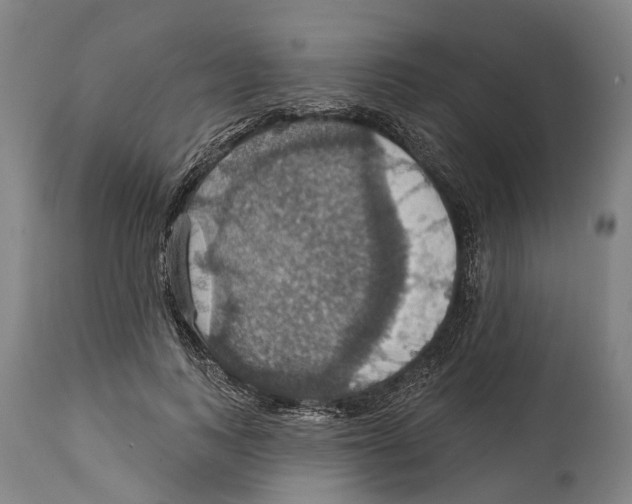 X0000114420743200911131450