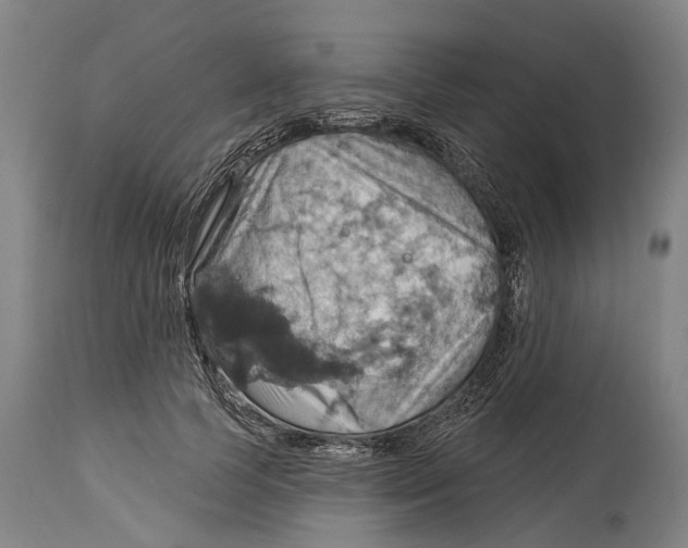 X0000114420745200911131450