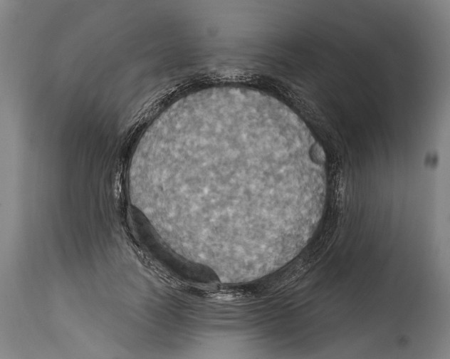 X0000114420746200911131450