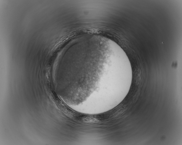 X0000114420747200911131450