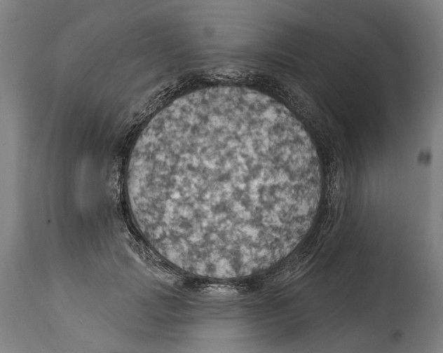 X0000114420749200911131450