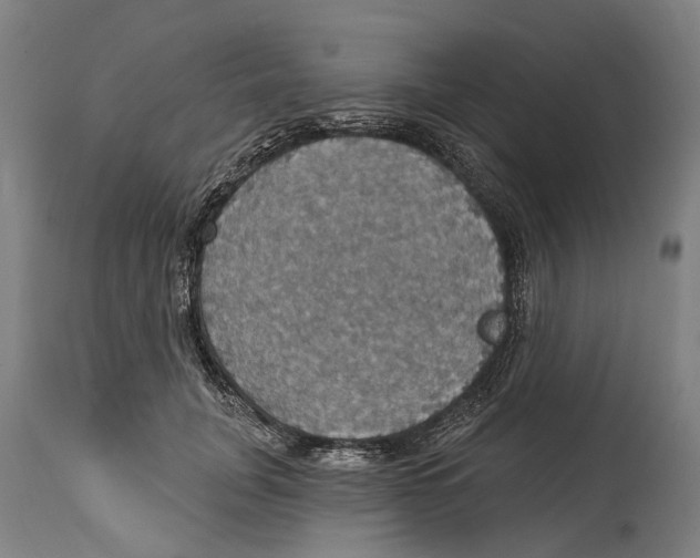 X0000114420751200911131450