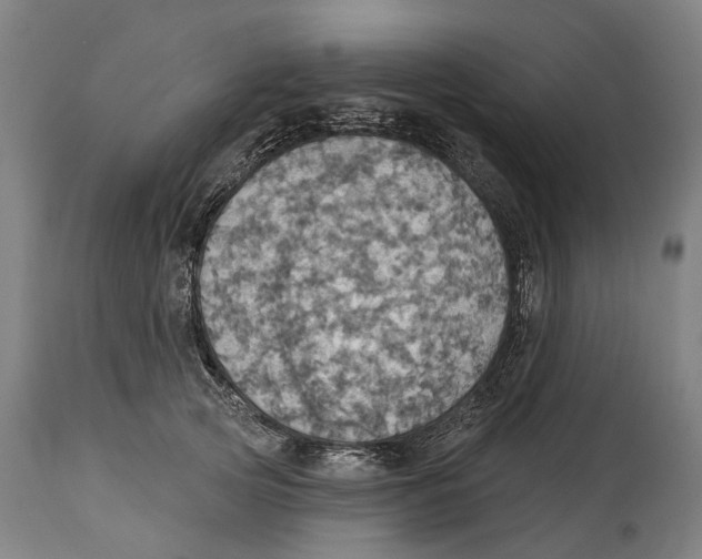 X0000114420753200911131450