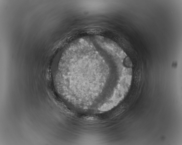 X0000114420755200911131450