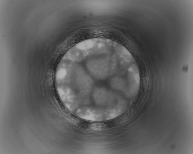 X0000114420757200911131450