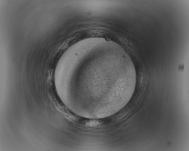 X0000114420759200911131450