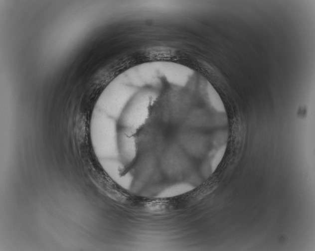 X0000114420761200911131450