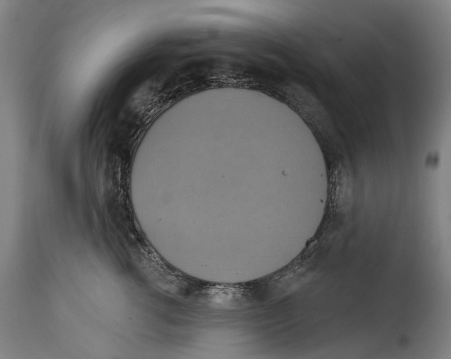 X0000114420762200911131450