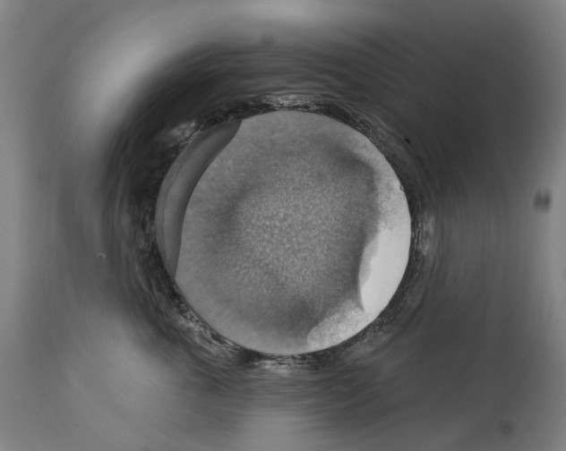 X0000114420763200911131450