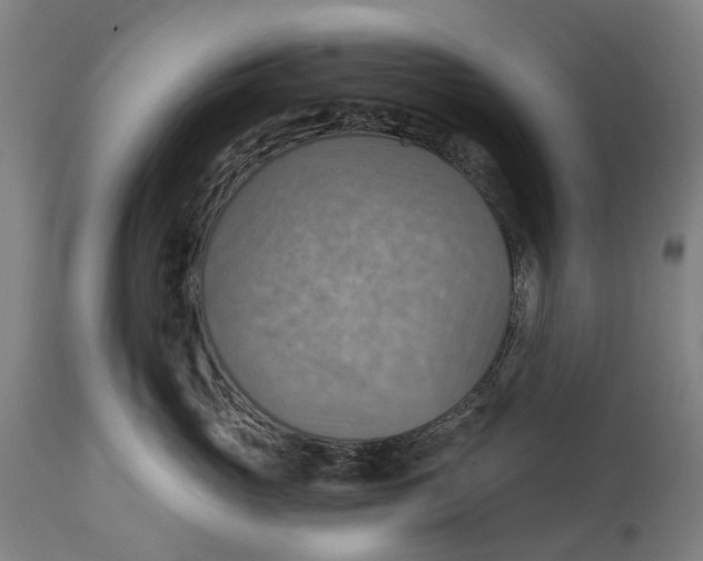 X0000114420765200911131450