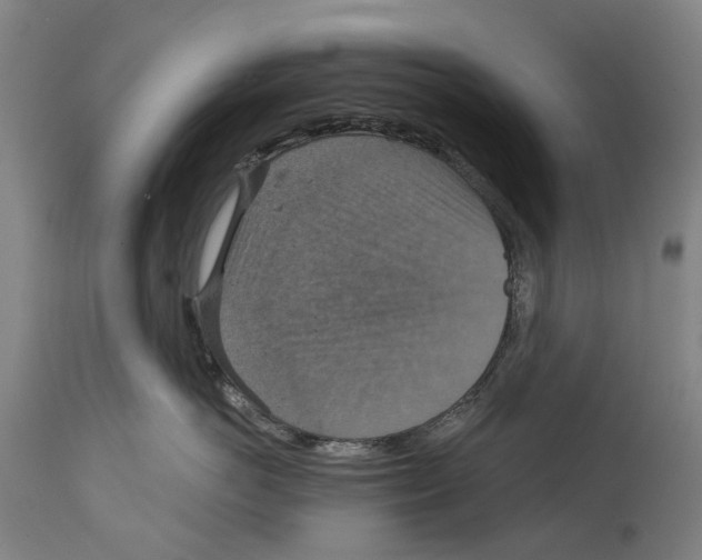 X0000114420766200911131450