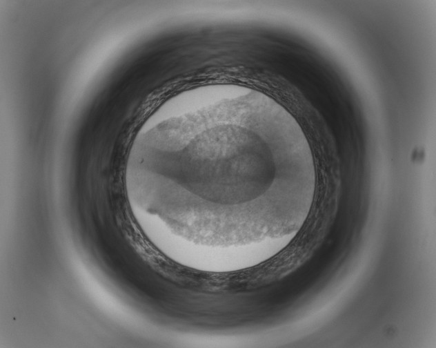 X0000114420767200911131450