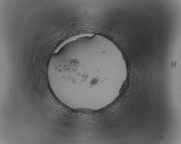 X0000114420769200911131450