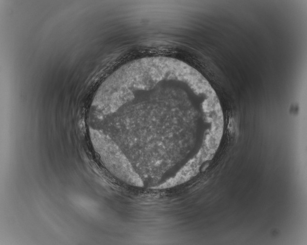 X0000114420771200911131450