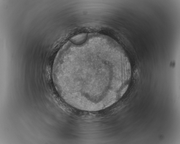 X0000114420772200911131450