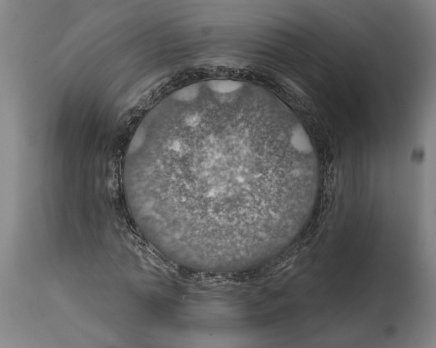 X0000114420774200911131450