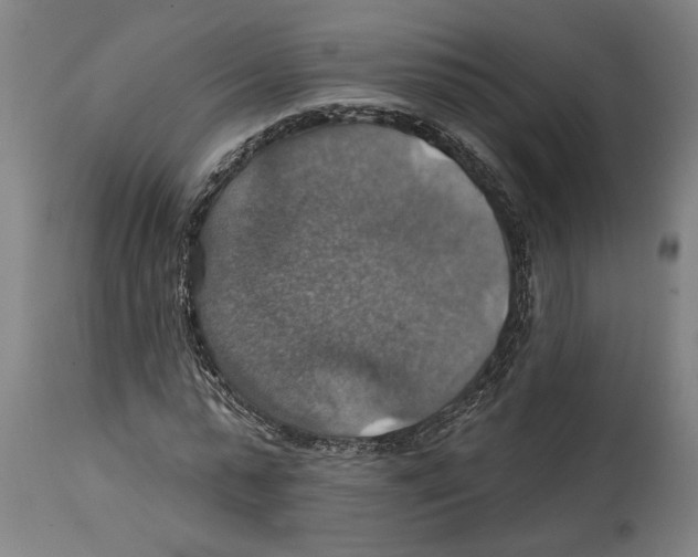 X0000114420775200911131450