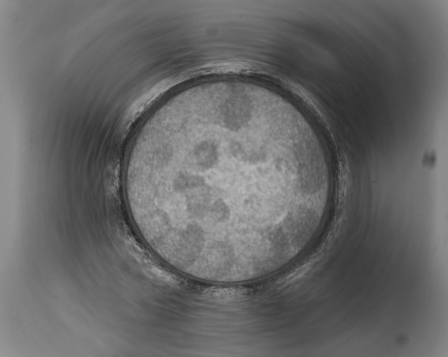 X0000114420778200911131450