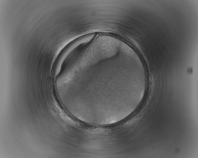 X0000114420779200911131450