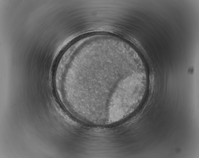 X0000114420780200911131450