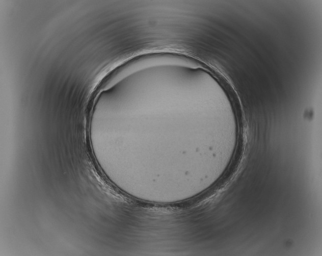 X0000114420781200911131450