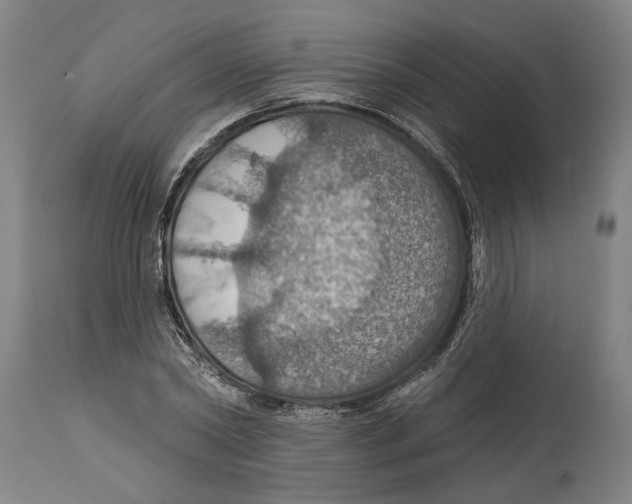 X0000114420782200911131450