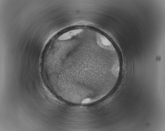 X0000114420783200911131450