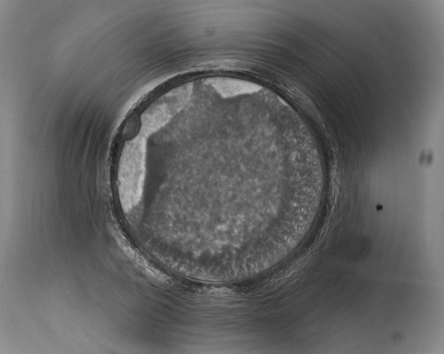 X0000114420784200911131450