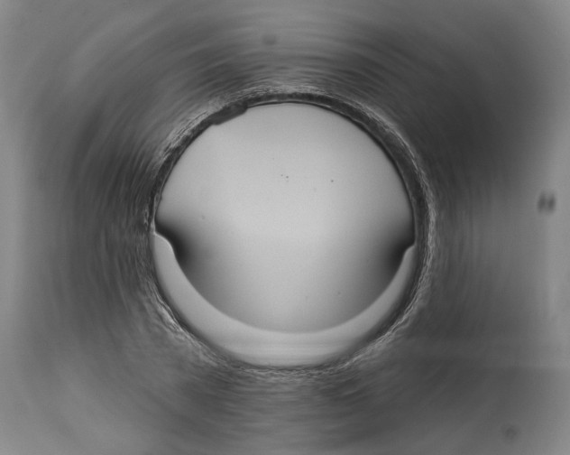 X0000114420785200911131450