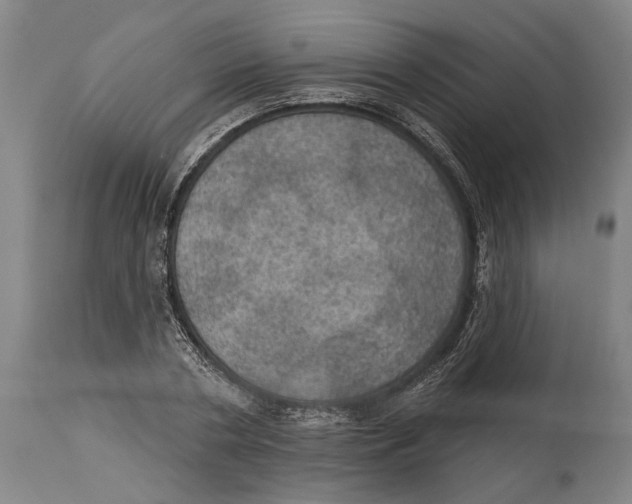 X0000114420786200911131450