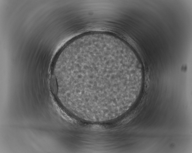 X0000114420787200911131450