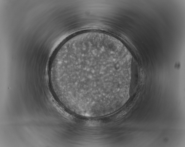 X0000114420788200911131450