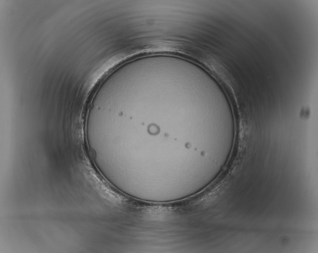 X0000114420789200911131450