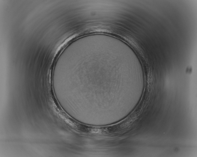 X0000114420790200911131450