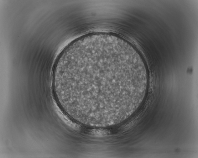 X0000114420795200911131449