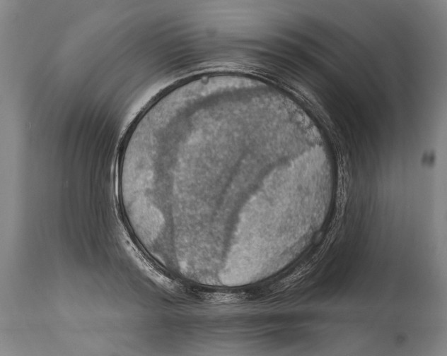 X0000114420796200911131449