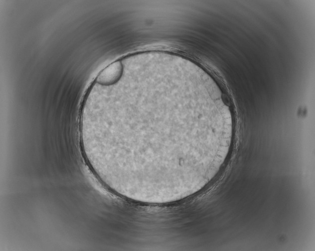 X0000114420800200911131449