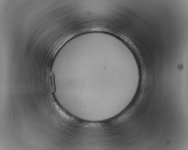 X0000114420801200911131449