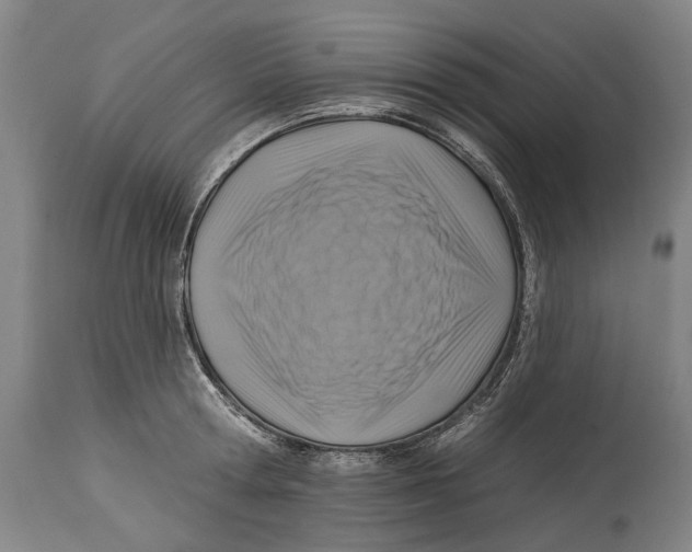 X0000114420802200911131449