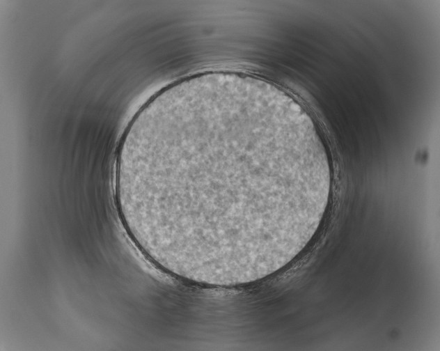 X0000114420804200911131449