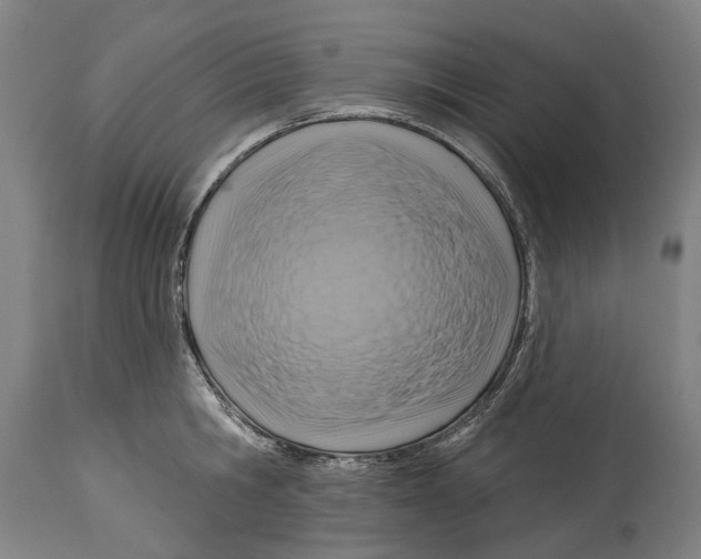 X0000114420806200911131449