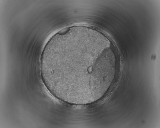 X0000114420808200911131449