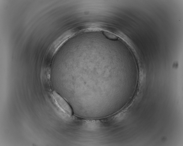 X0000114420809200911131449