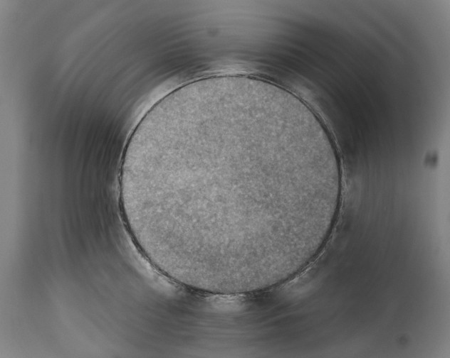 X0000114420810200911131449