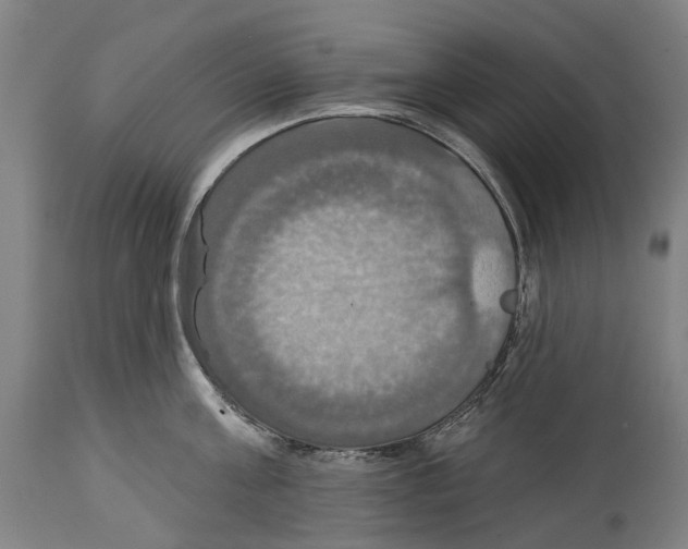 X0000114420811200911131449