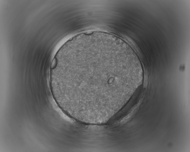 X0000114420812200911131449