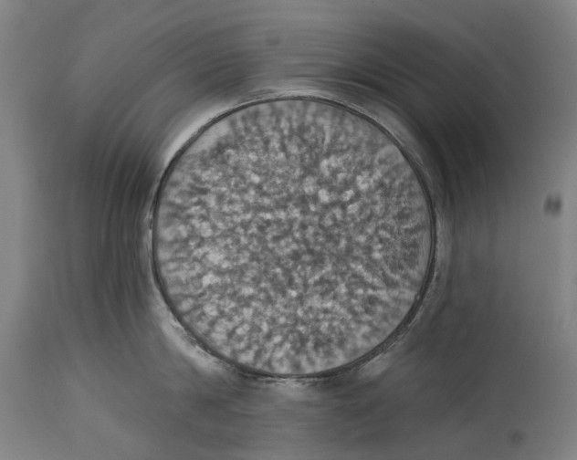 X0000114420814200911131449